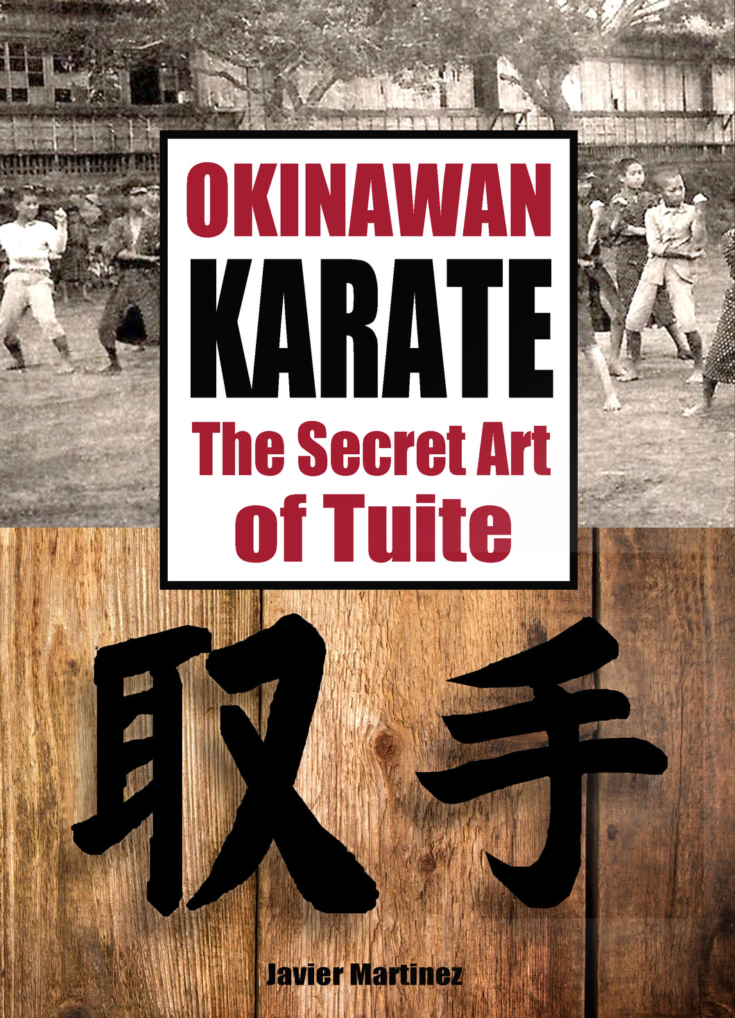 Okinawan Karate The Secret Art of Tuite